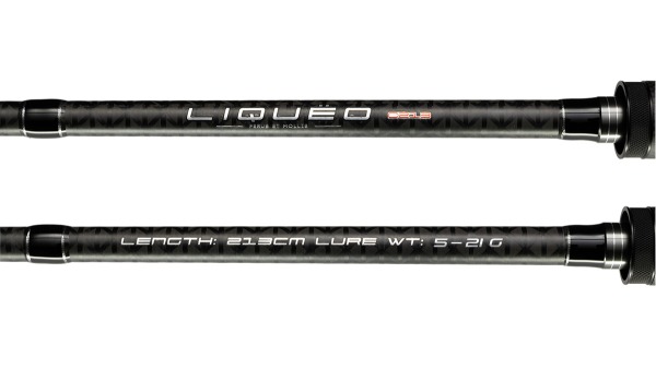 LIQUËO C 213 5-21g